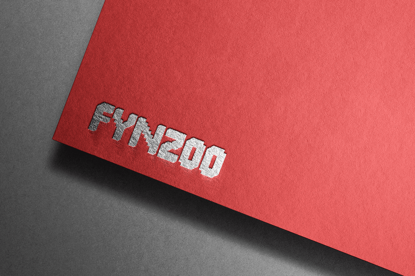 About Fynzoo Company Limited
